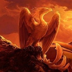 fenix.jpg