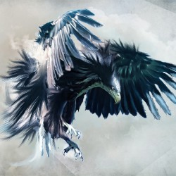 fantasy-cg-northern-eagle-ipad.jpg